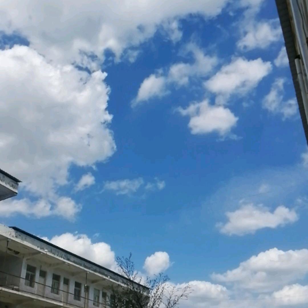 李少杰