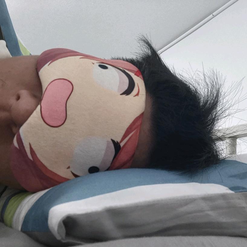 不会飞