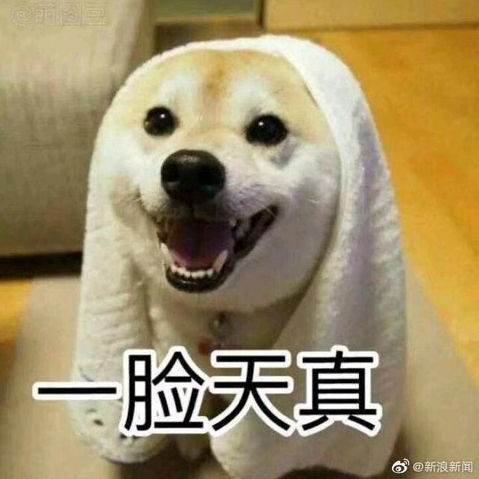 三杯两盏雪碧