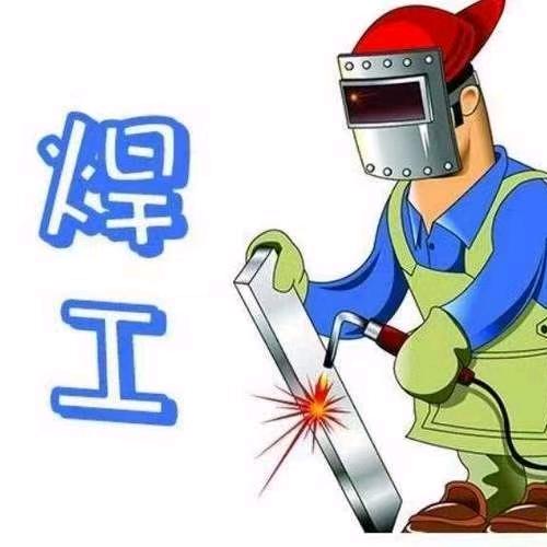 寰宇枫姐