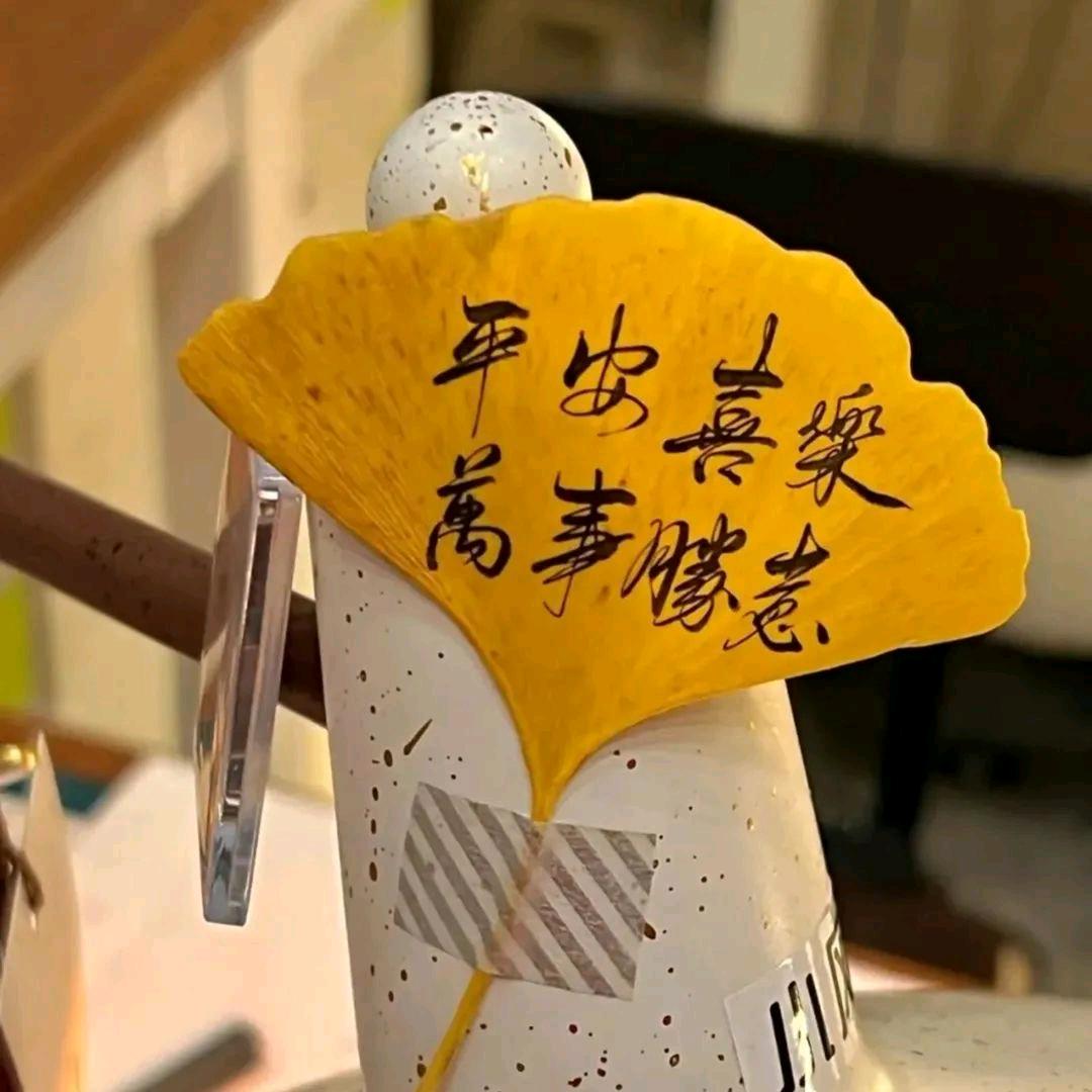 林子枫