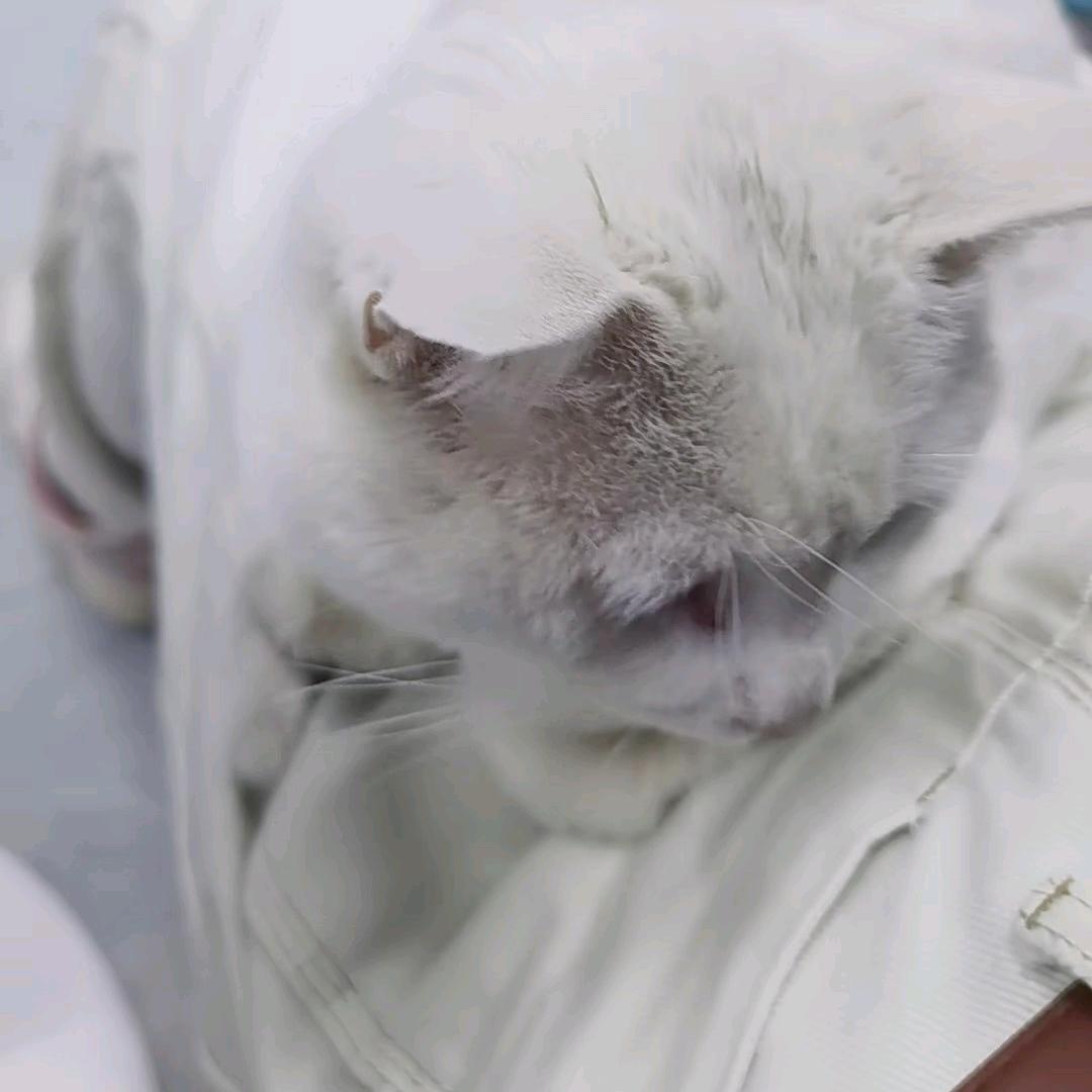 值  得