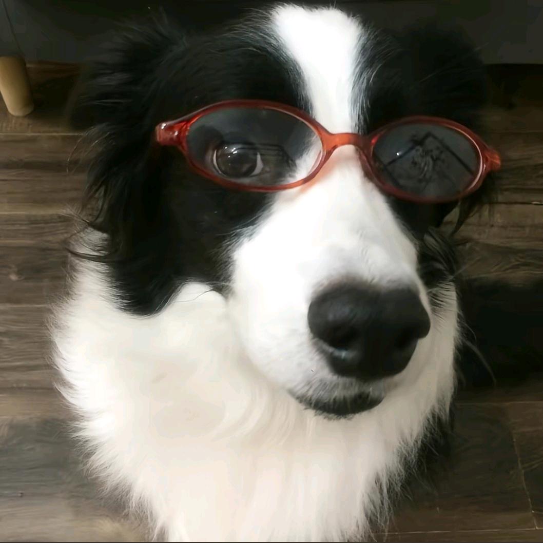 都说了叫八十七