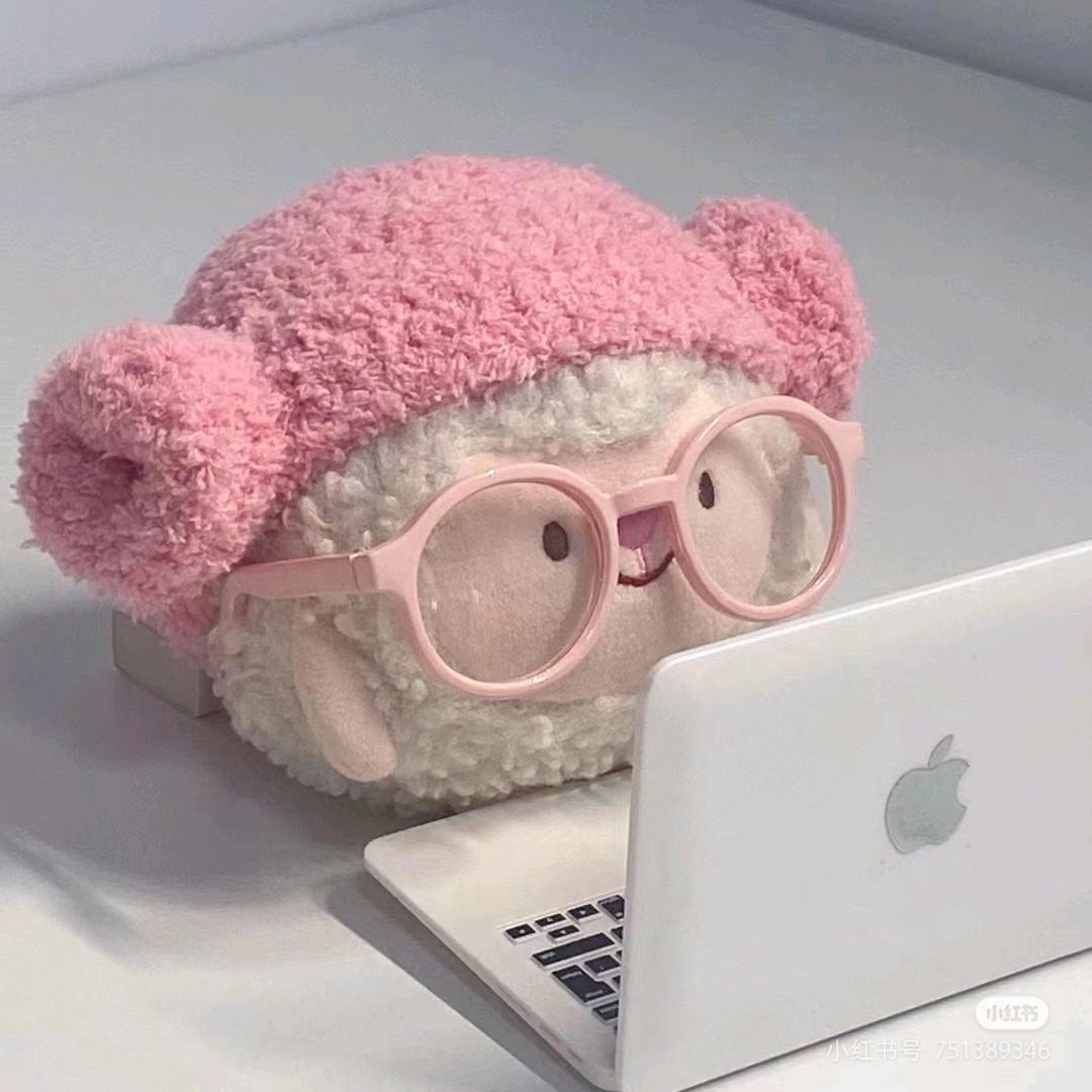 保定新新娘摄影师vlog