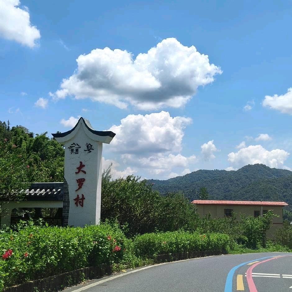 向扬而生..巴扬琴声