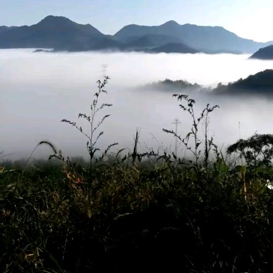 勇敢心