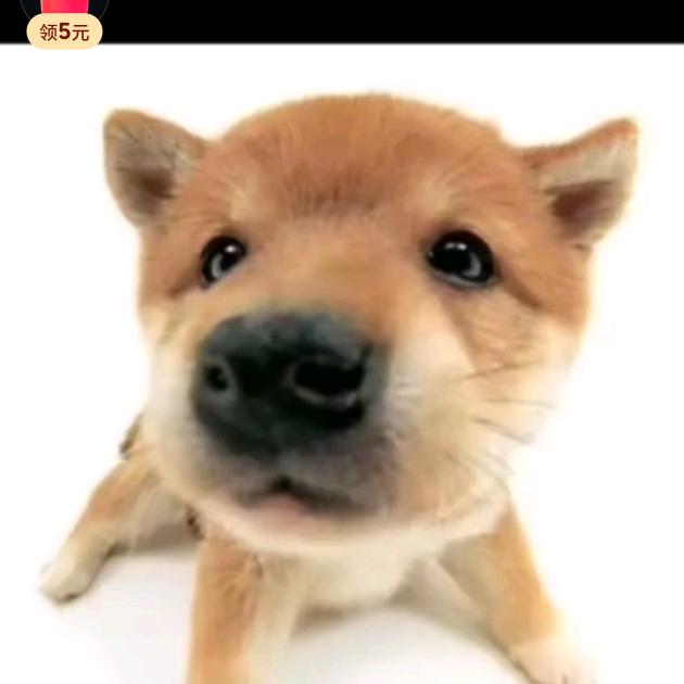 拿铁加冰三分糖