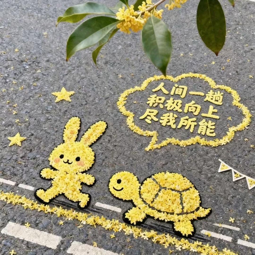 靓力而行
