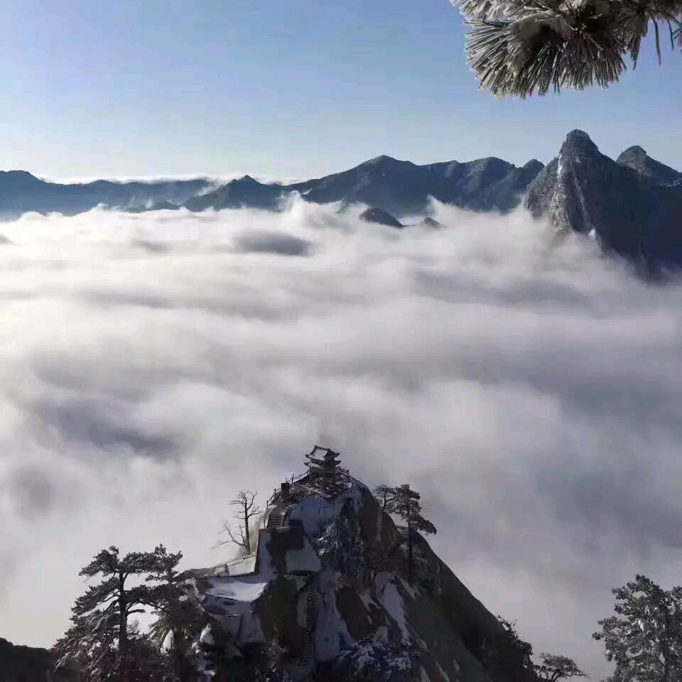 飞翔
