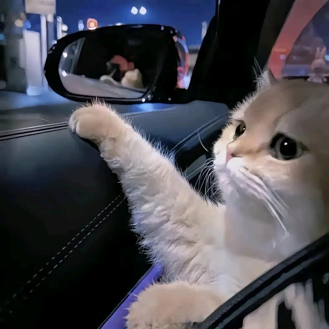 忈姦㞢㤫
