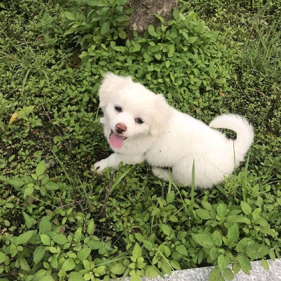 美美的