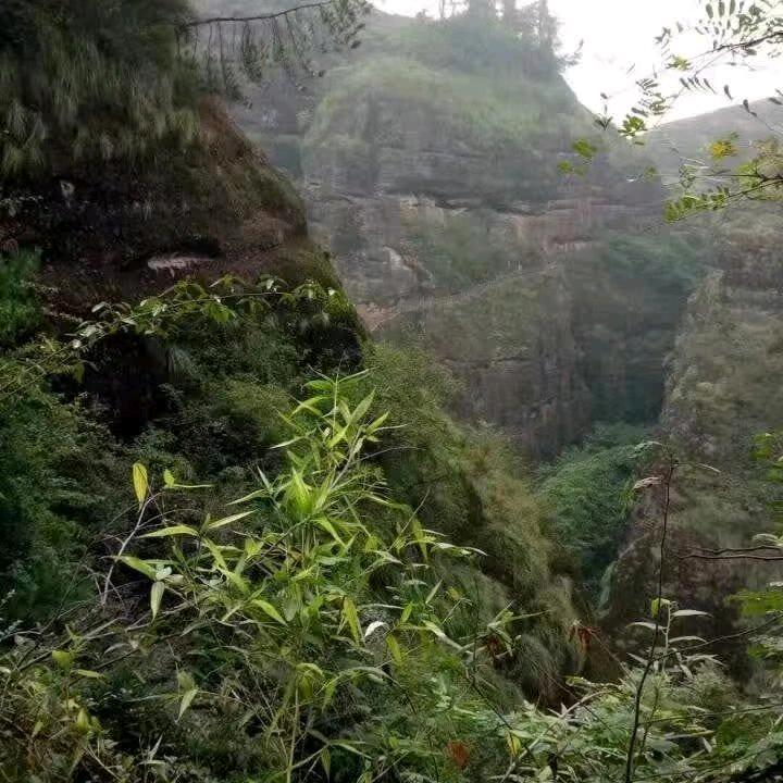 相伴永远