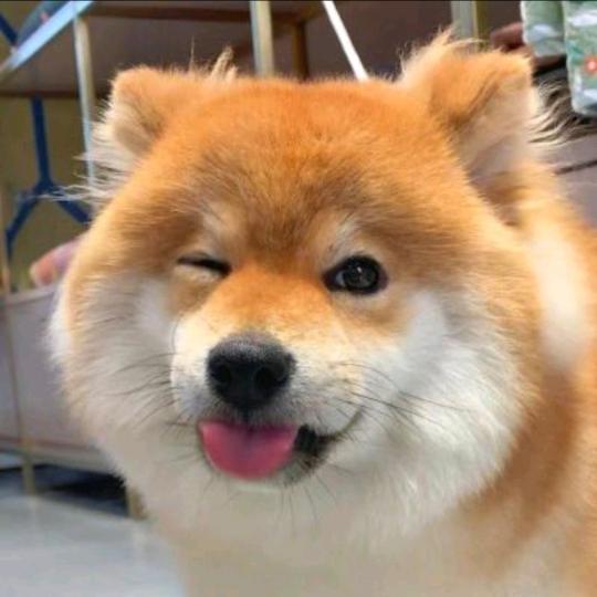 橘红色