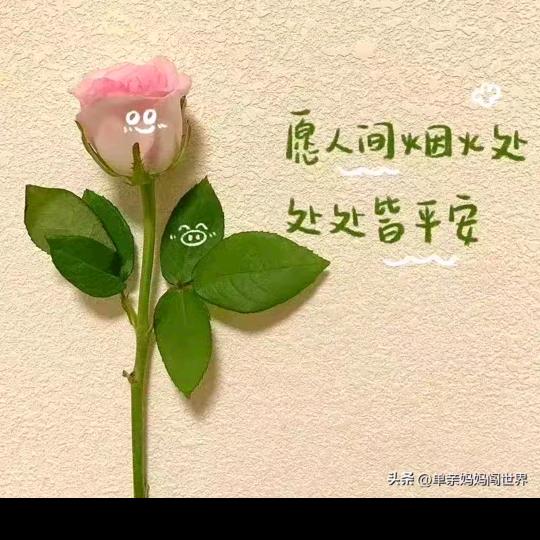 🍀四叶草