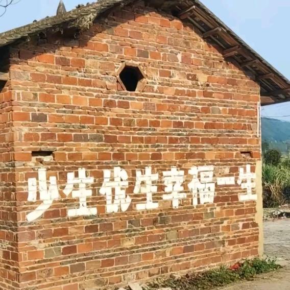 春阳