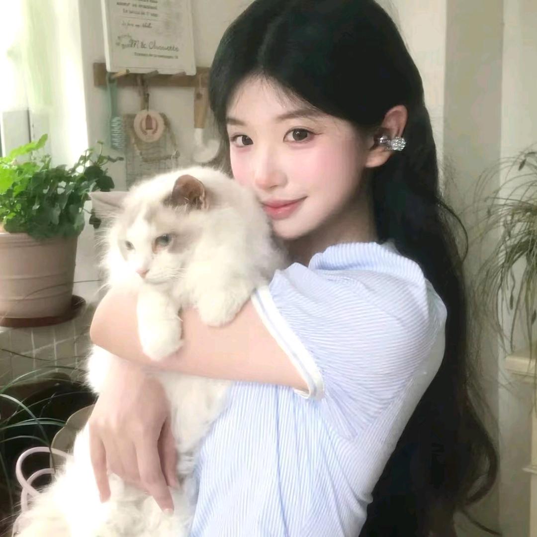 呆绪.🐟