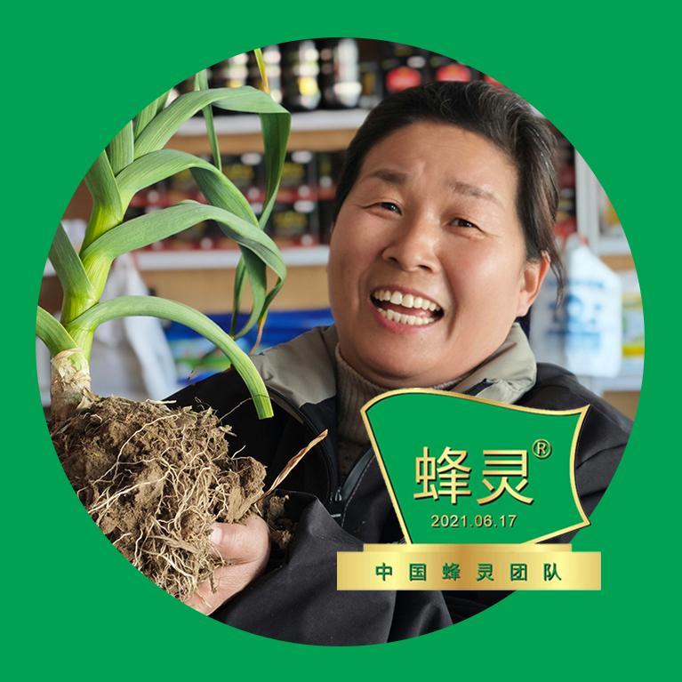 后台海锋农资大嫂