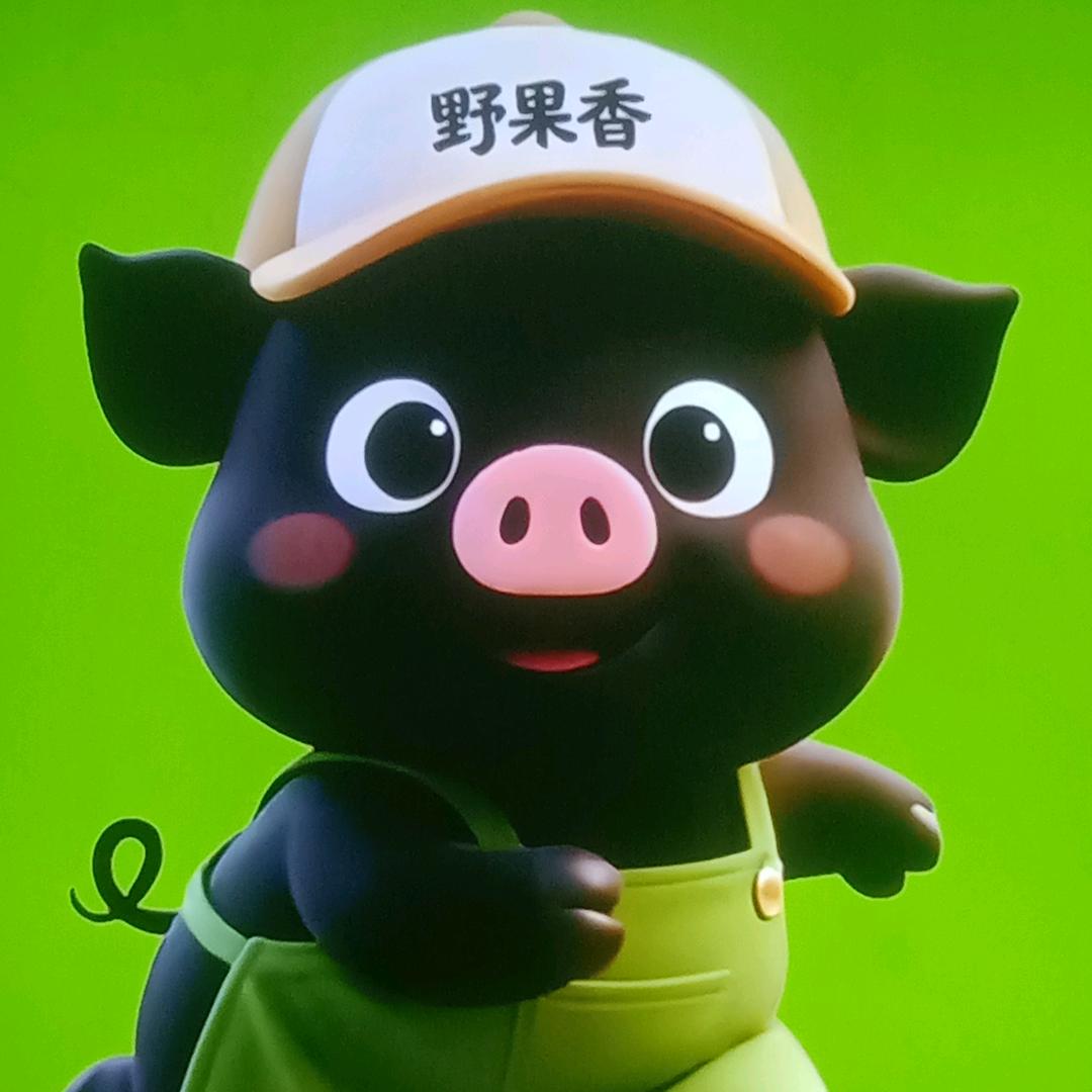 光头强跑山黑猪肉