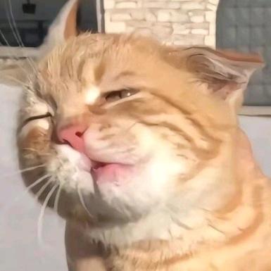 王者荣耀这游戏真不错