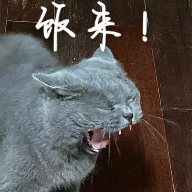 蠢日部的下三日记🎊