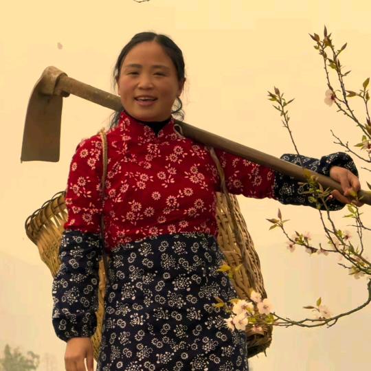 舒馨