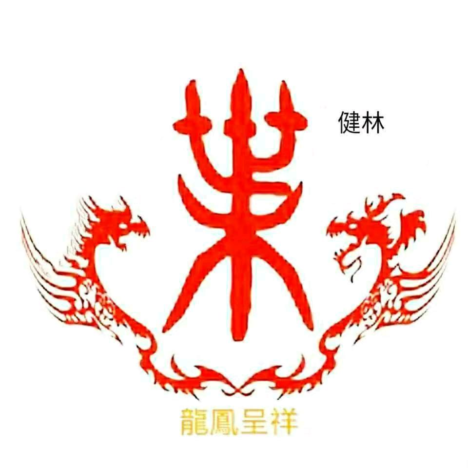 庐江叶工电瓶批发