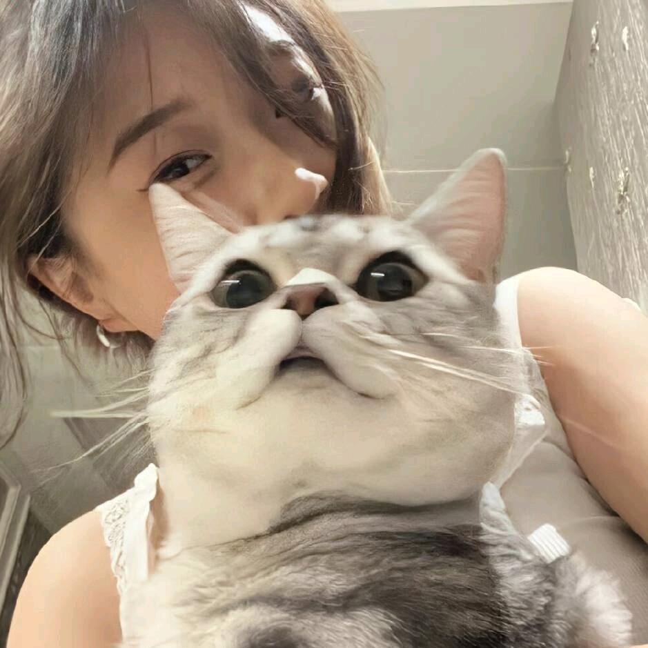 糯九