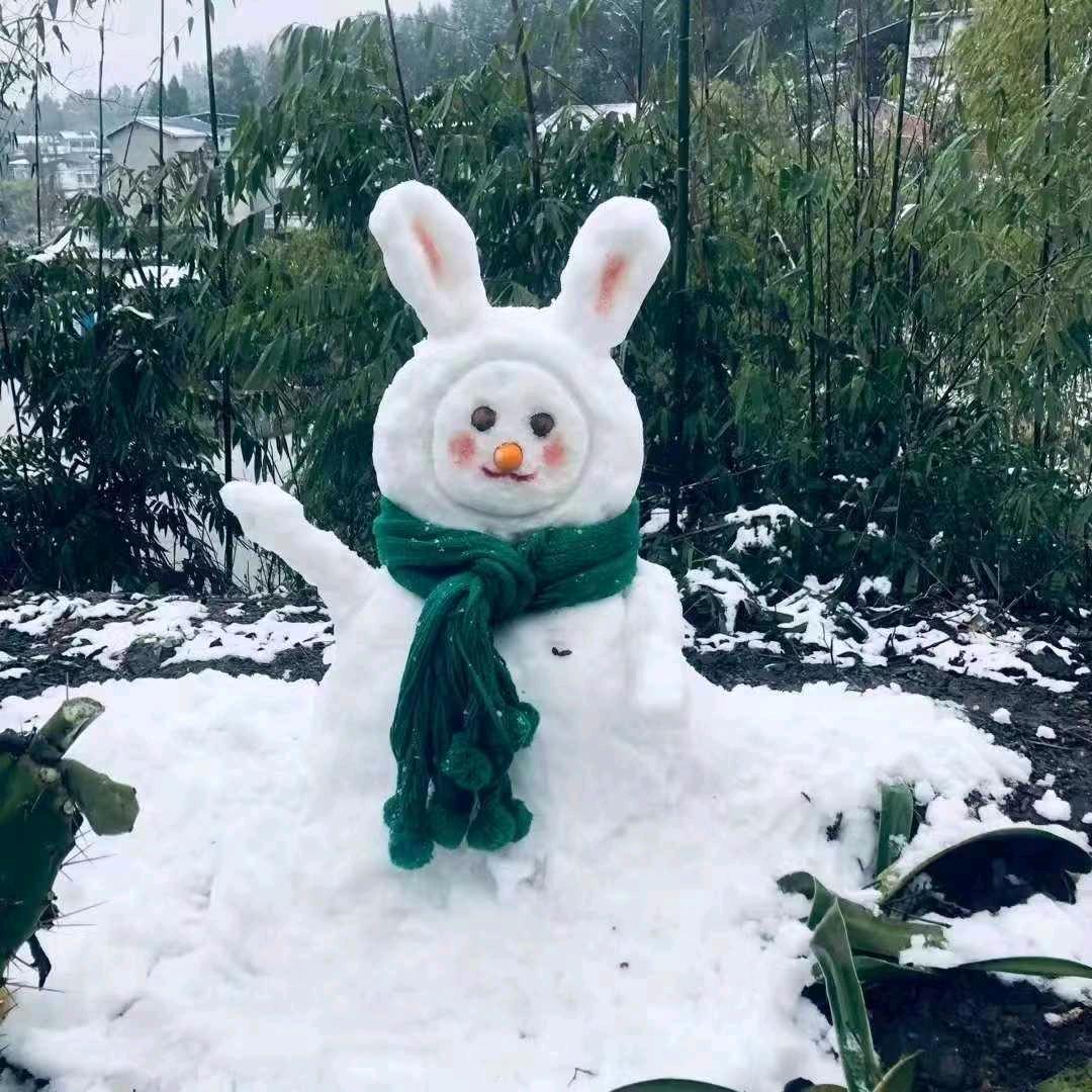 寻梦人267967588154