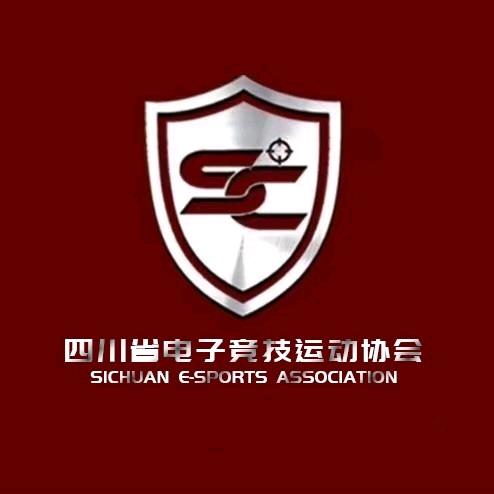 四川省电子竞技运动协会