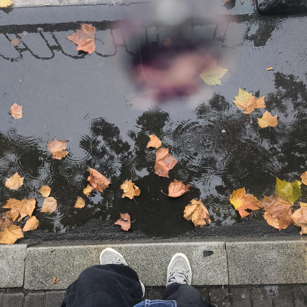 殷正十四