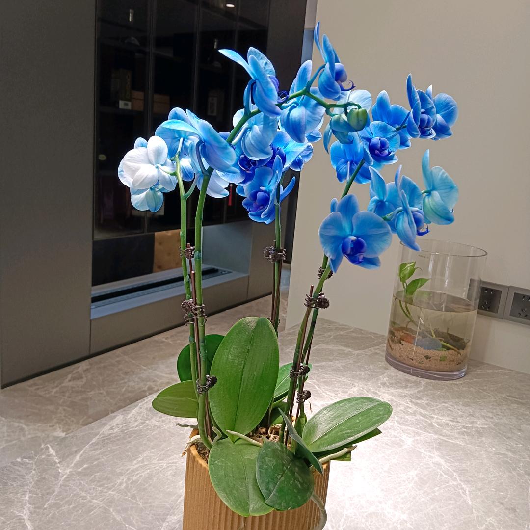 一年360天风雨无阻