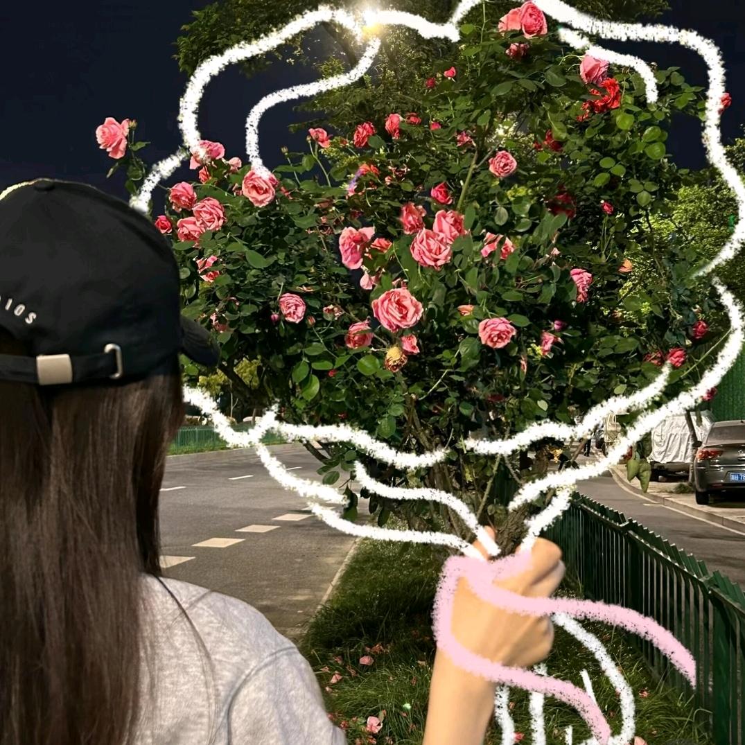 橙不错