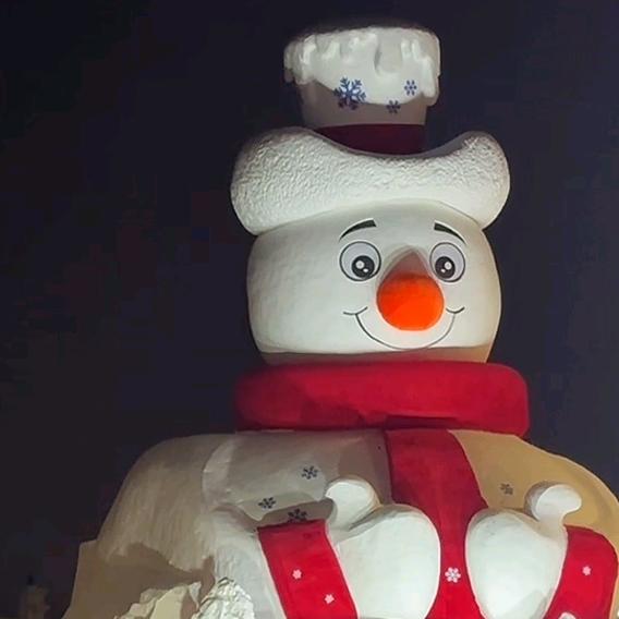 哈尔滨旅游女领队-小东北