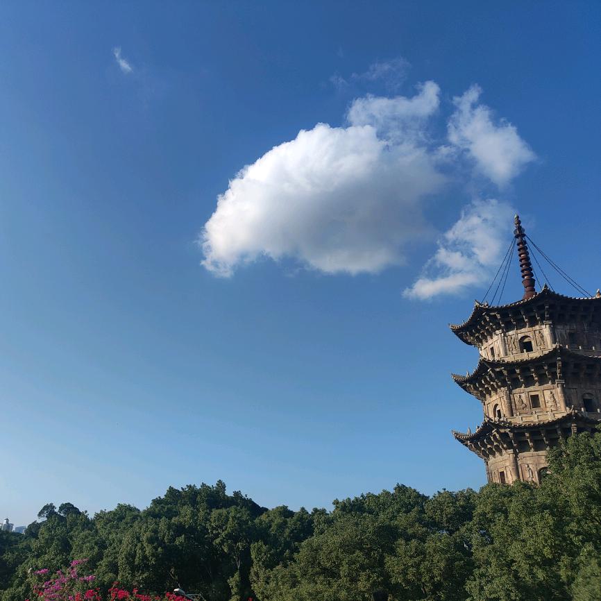 🌈鱼破冰