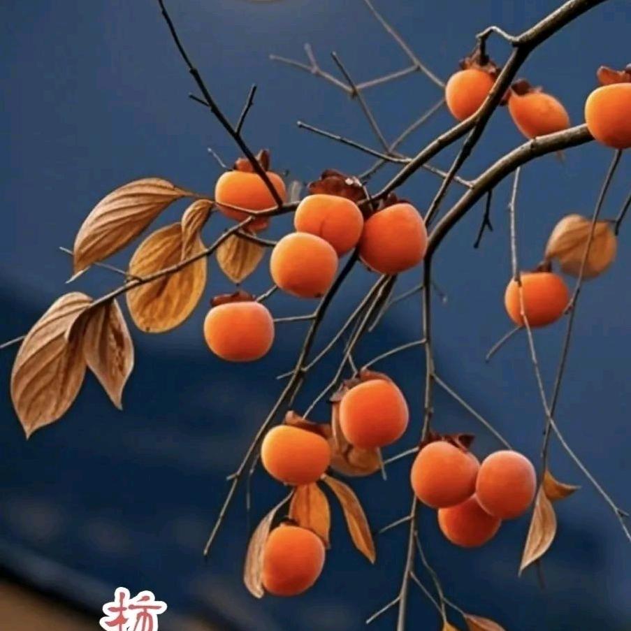 福临食品经销部