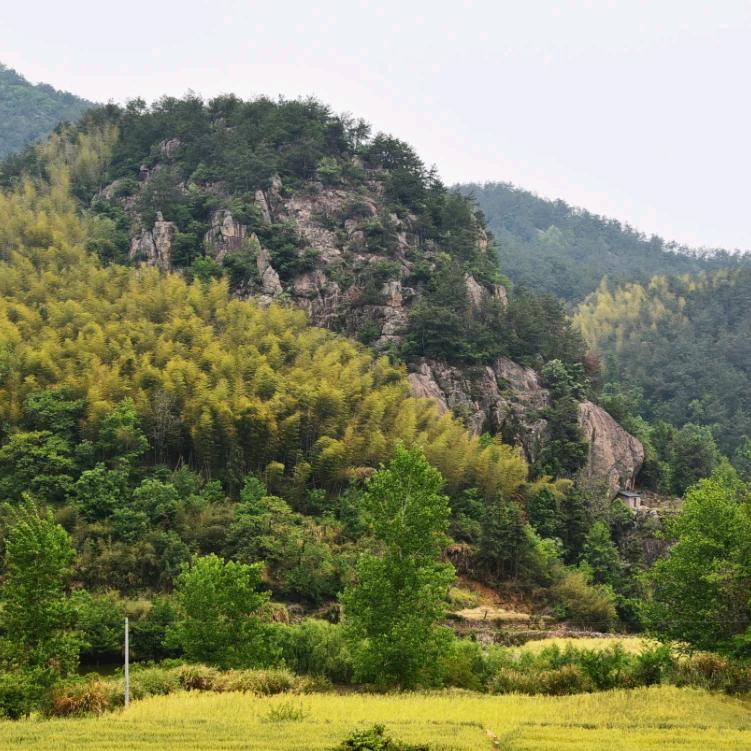 东山再起你是谁