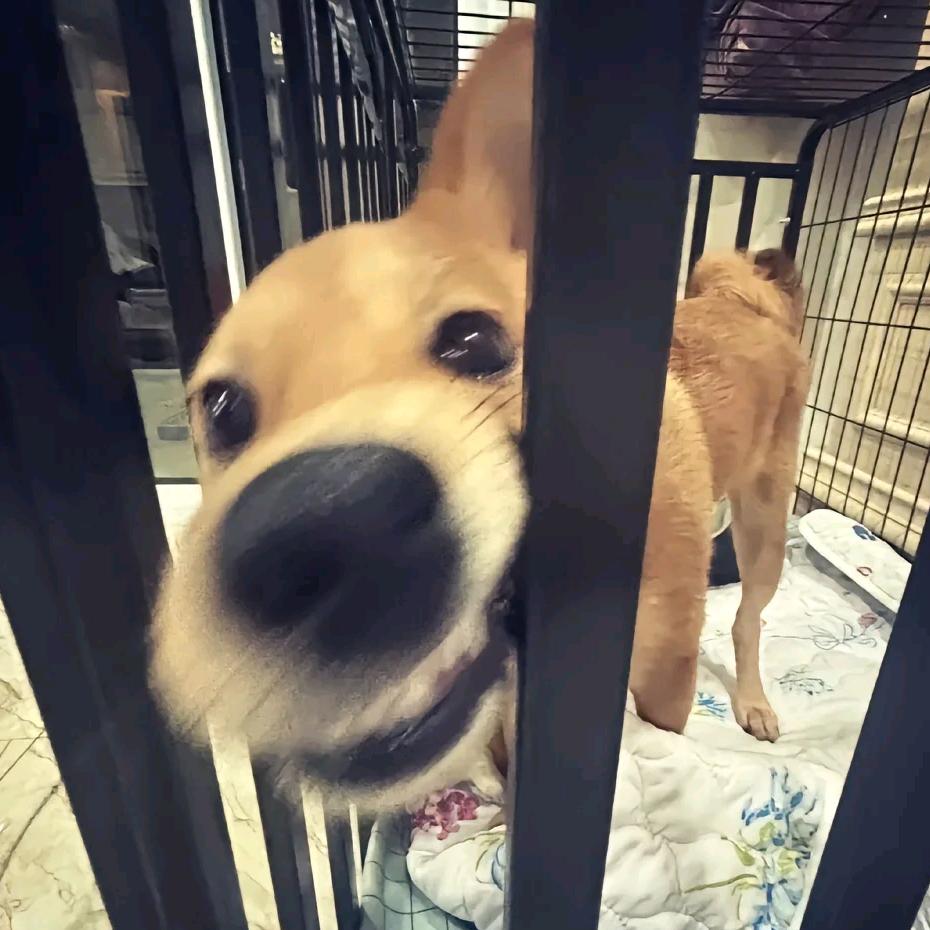 就是小之归（那人也玩漂移板）