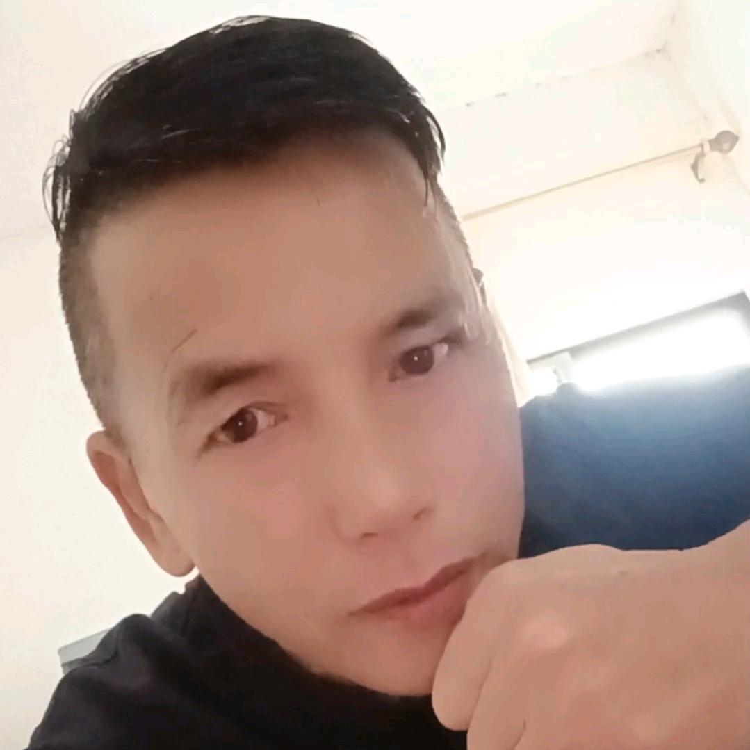 朱猪