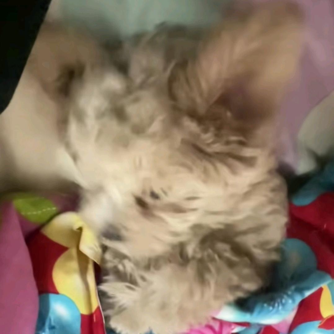 低质大脚趾头像