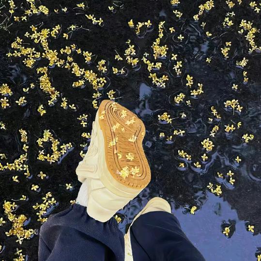 步步🌸生花🌸