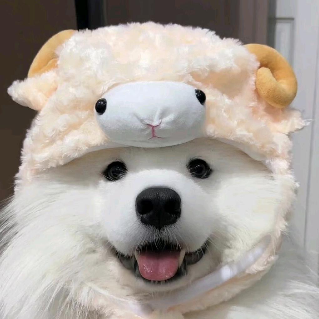 芋泥菠萝堡Phoenix