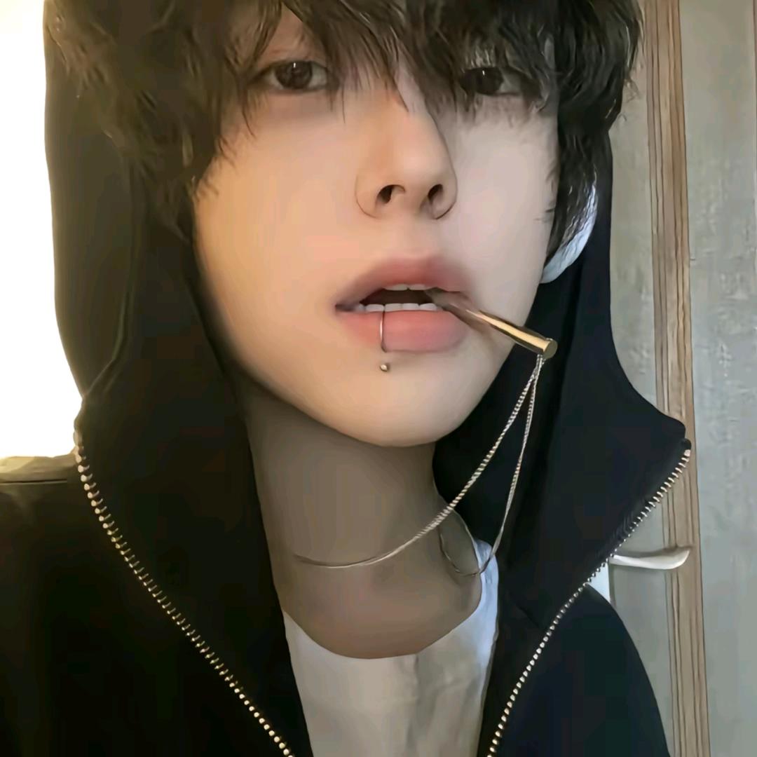 鲨鱼🦈