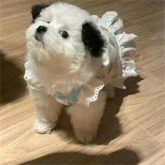 自恋小空间