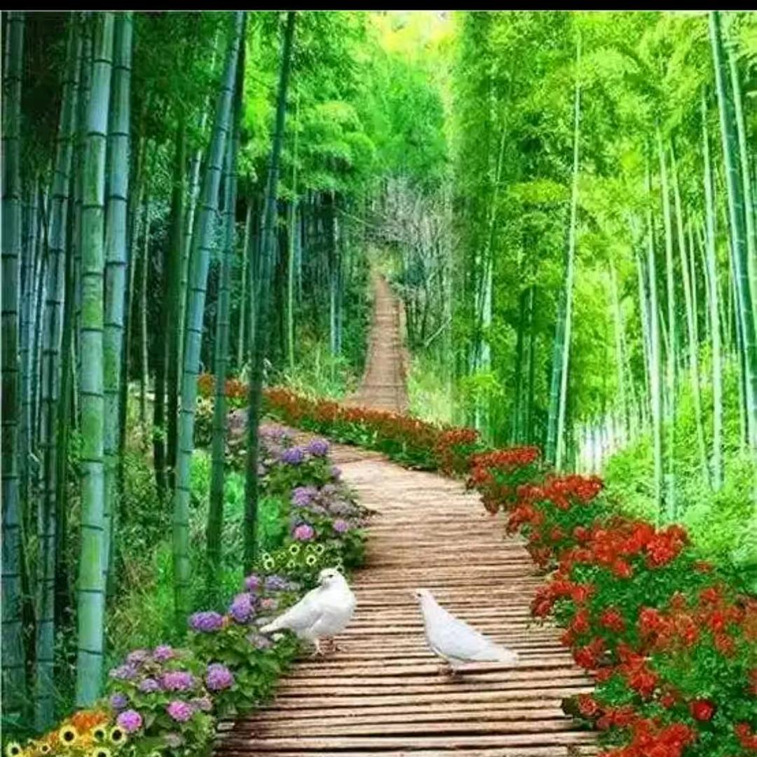 优彼