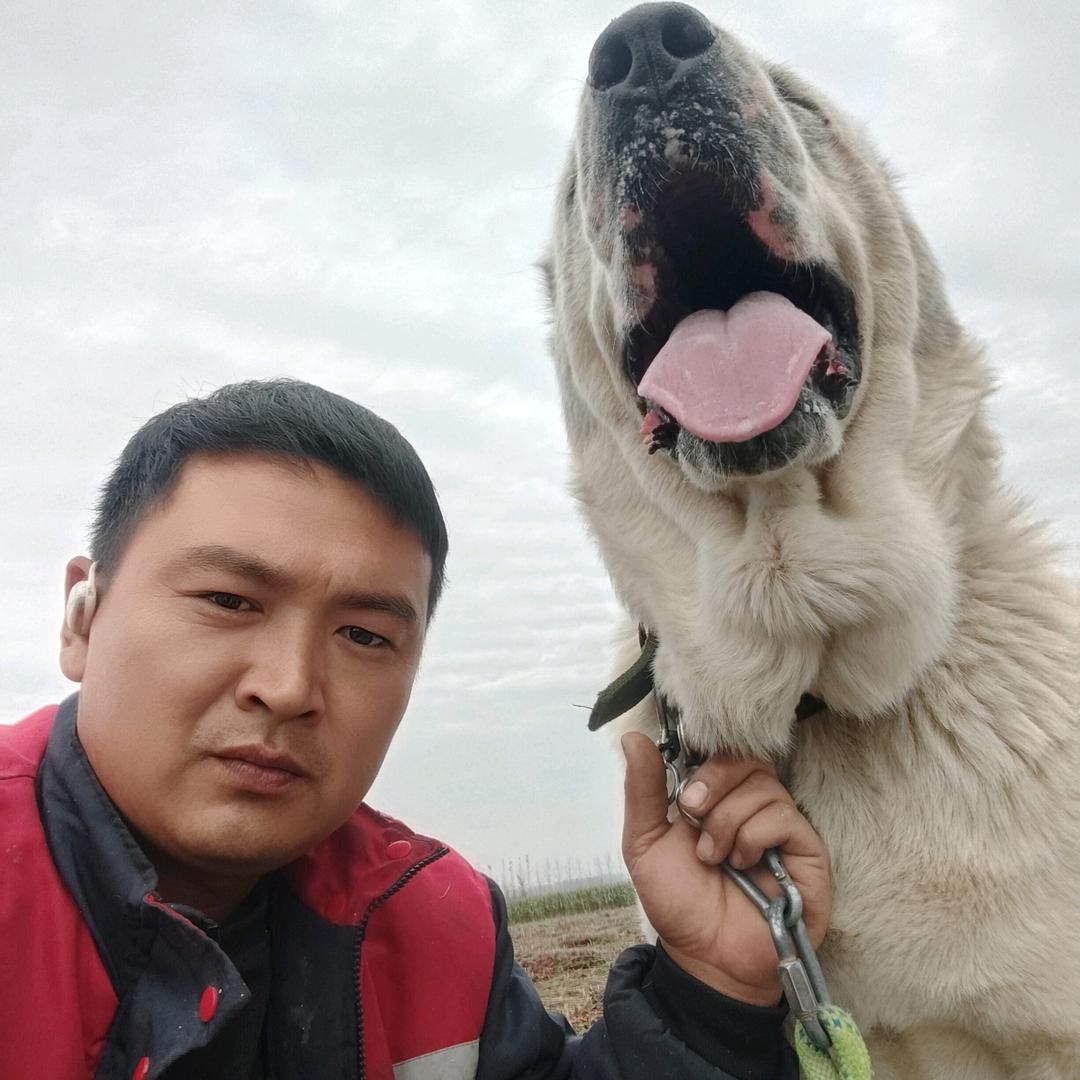 孙师傅外墙装饰