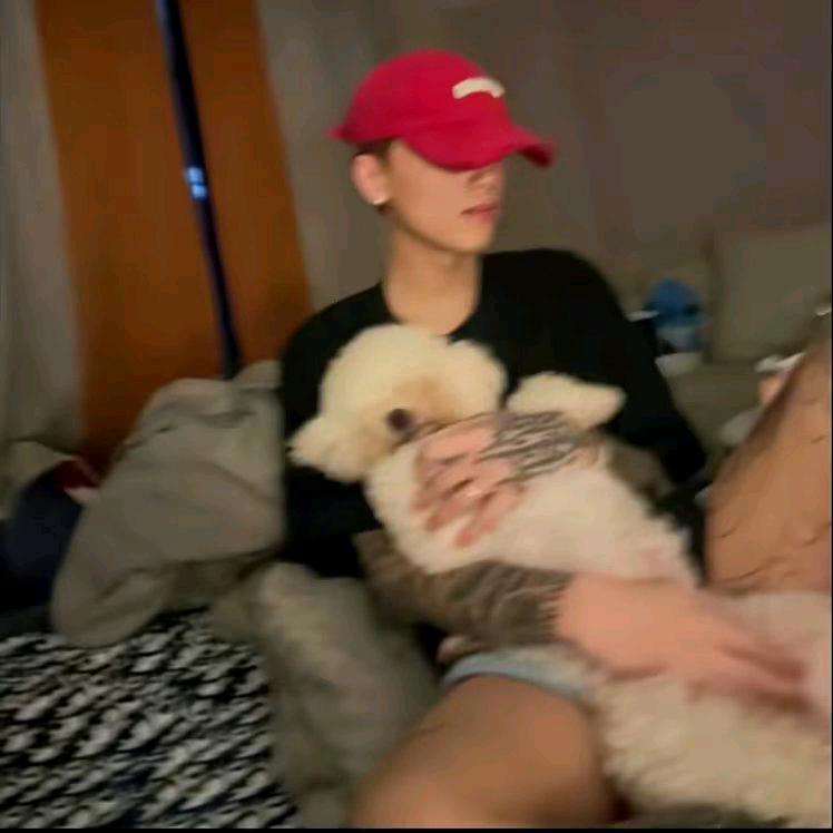 鹏鹏鹏鹏•