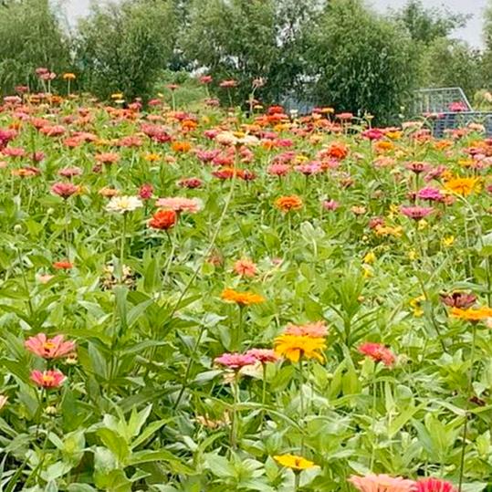 💖心如的安静💝