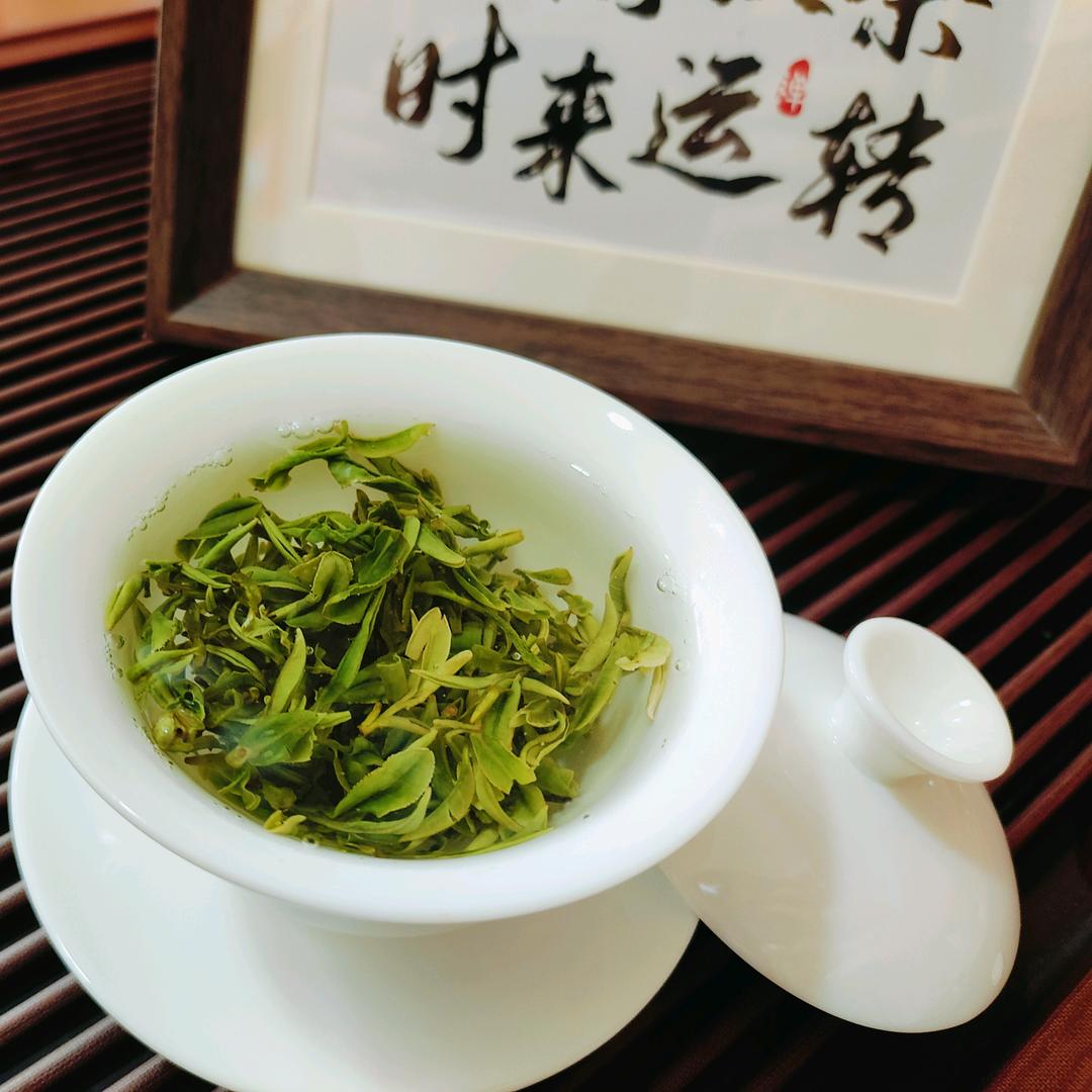 日照绿茶 🍵【云来茶行】