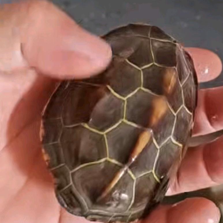 我命由我不由天