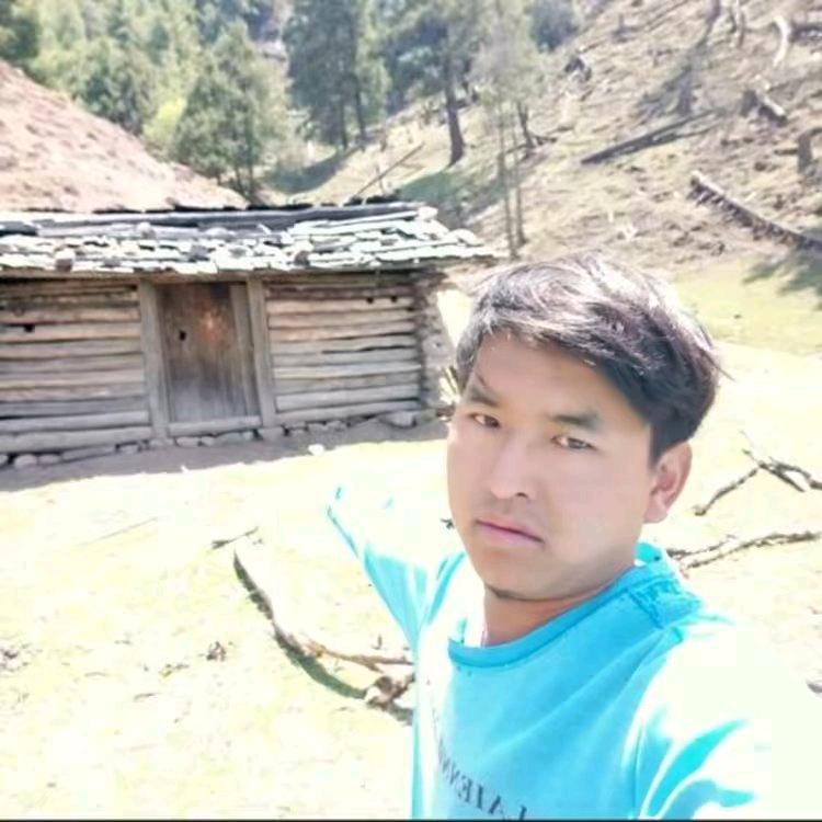 爱拼才会赢冬南